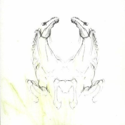 Audio Cd My Brightest Diamond - Tear It Down