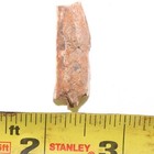 Foto 11 di 12