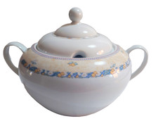 ZUPPIERA in porcellana di Bohemia con motivo floreale e albicocche NUOVO