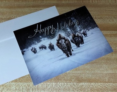 Bison Buffalo Snowy 5x7 Holiday Christmas Card maybe fora NFL Bills Football Fan