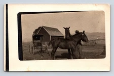 RPPC Man & Two Horses by Buggy Carriage & Mountain View Farm Barn Postcard