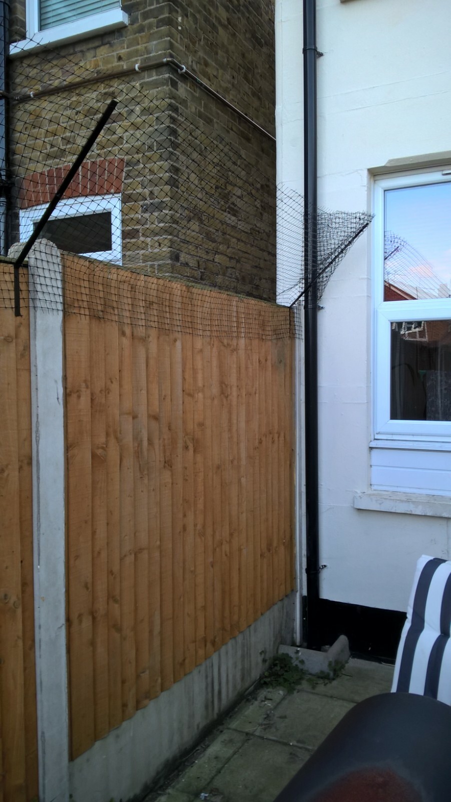 Picture 6 of 11