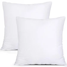 MIULEE 20 x 20 Pillow Inserts (Set of 2) - Throw Pillows Insert Hypoallergenic