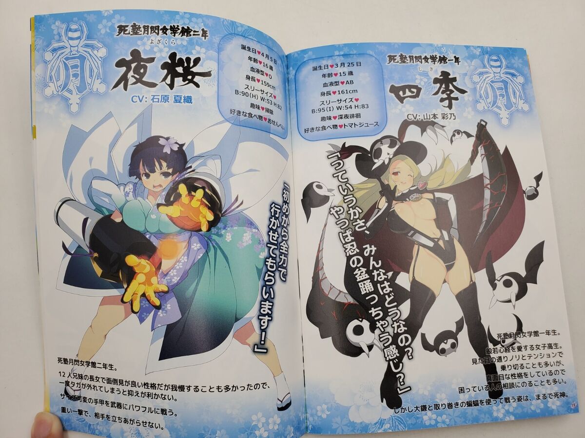 Senran Kagura Shinovi Versus Character Secret File Art Book With Sound CD  Anime