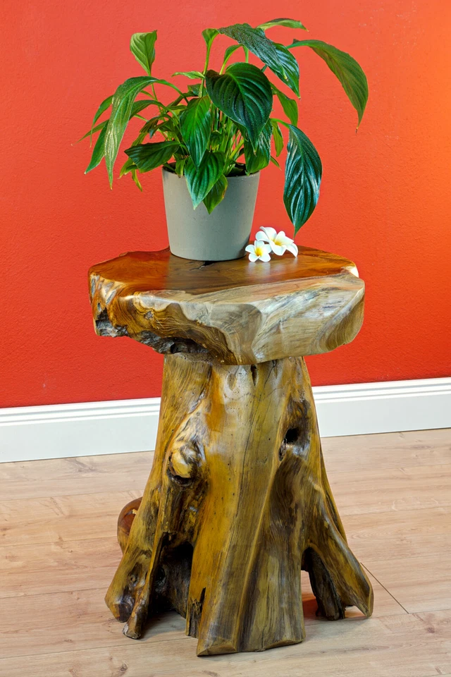 Madera de Raiz Mesa 50CM Auxiliar Tronco Árbol Raíz Podest Redondo - Imagen 3 de 4