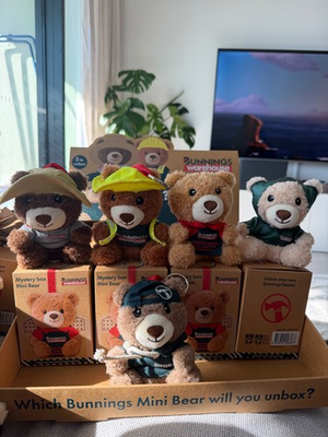 #ad Bunnings Mini Mystery Bears full set including rare mystery bear $200.00