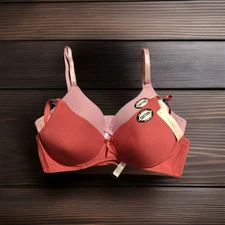 MAMIA ~ NWT! 2X 34B UNDER WIRE BRA POLY COTTON BLEND PALE LAVENDER & MAUVE BOW