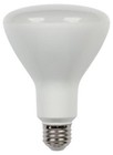 Westinghouse Clear White R30 Bulb Shape Code Light Bulbs