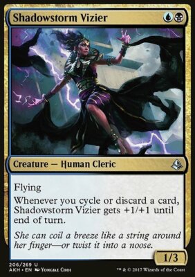 Magic the Gathering MTG Shadowstorm Vizier (206) Amonkhet   LP