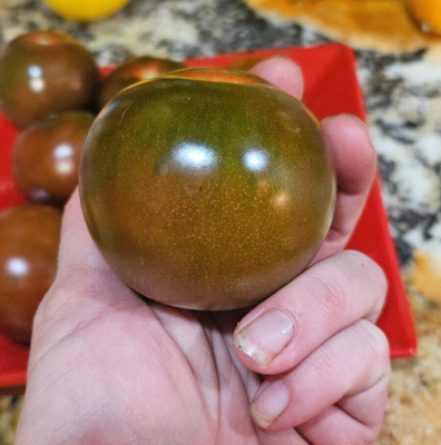 Kumato Tomato Seeds (30) / ORGANIC / DELICIOUS / EXTREMELY RARE