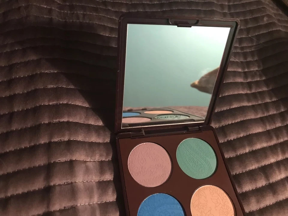 New Victoria's Secret Untamed Chic Eye Color Kit Eye Palette Rare Hard To Find - Image 3 of 4