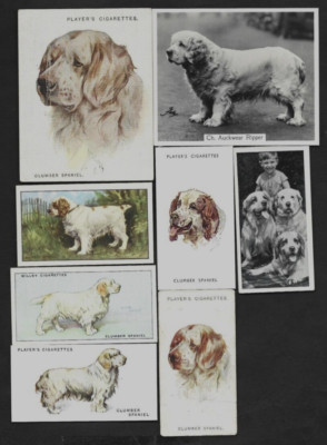 8 Different Vintage CLUMBER SPANIEL Tobacco/Cigarette/Tea Dog Cards Lot