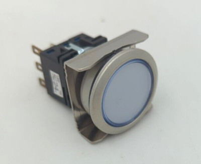 Idec LBW6ML-M1T14PW 22mm Flush Mount Momentary Switch New