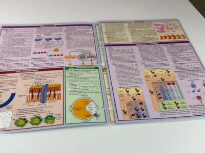 Biology (Quick Study: Academic) - Cards By BarCharts, Inc. - NEW