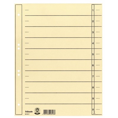 Karton-Trennblätter, DIN A4 Überbreite, chamois Esselte 621017 (4001536003752)