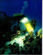 1979 Vintage Print Ocean World Deep Sea Underwater Photography Stan Keiser
