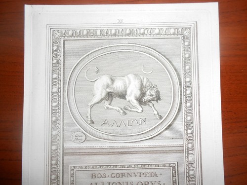 1780 ACQUAFORTE FRANCESCO BARTOLOZZI SEGNO ZODIACALE TORO ALLION ALLIONIS - 第 4/8 張圖片