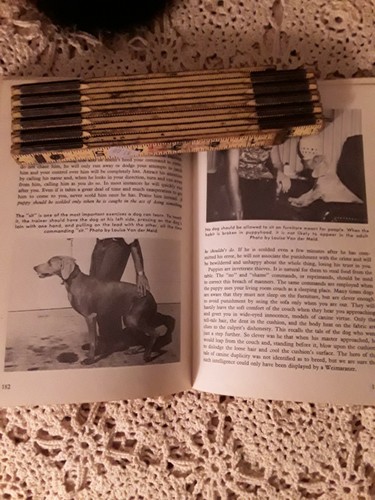Vintage 1965 Weimaraner von Ernest Hart Hardcover - Bild 6 von 7