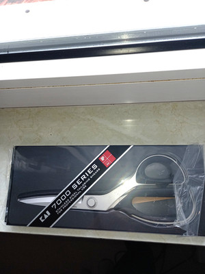 KAI Stoffschere 7250SE 250 mm microverzahnt -neu-ohne Originalverpackung-