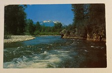 Vintage Postcard c1961 ~ Bitterroot River, Highway 93 ~ Montana MT