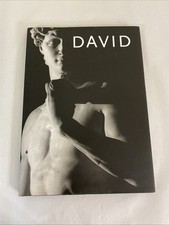 David: Michelangelo by Aurelio Amendola