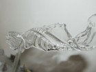 Bild 8 von 15