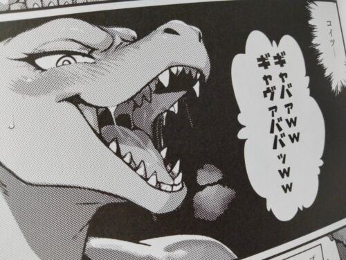 POKEMON Doujinshi Charizard main (B5 20pages) bangalow Lv - Picture 4 of 4