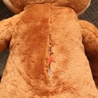 Bild 7 von 9