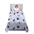 Disney Frozen 2 Twin Size Sheet Set