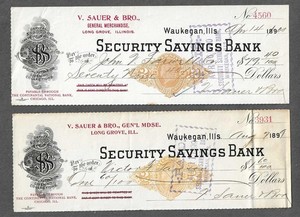 2 Waukegan Illinois Bank Checks 1899-1900 RN-X7