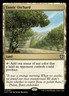 MTG Exotic Orchard (293/396) Outlaws of Thunder Junction Commander NM