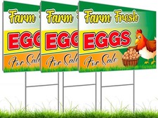 12x16 Inch 3X Double Sided Sign Plastic Eggs for Sale Yard - Farm colorful