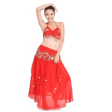 Women's Belly Dance Costume Set Halloween Costume Sequins Hip Scarf Dance Dress