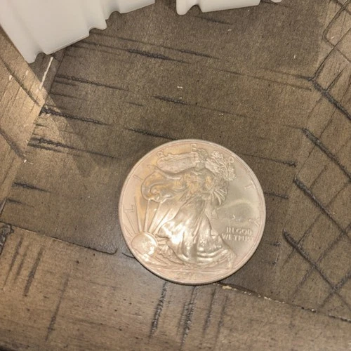 2010 American Silver Eagle 1 Troy Oz .999 Fine Silver