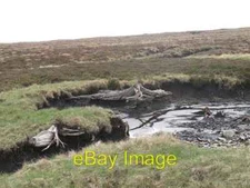 Photo 6x4 Bog wood on   Sru00c3u00b2n a' Chleirich Meall na Maoile Befo c2008
