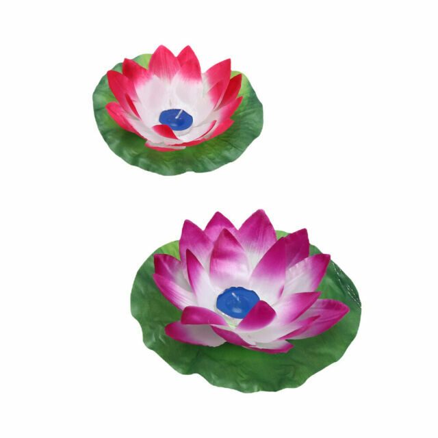 Lotus lantern apk