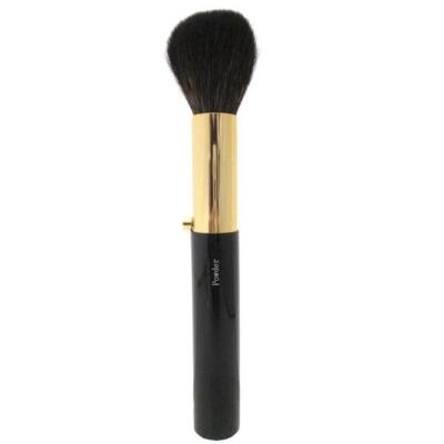 H series H-5 Kumano, Hiroshima Mortgage brush mobile brush hair quality: ash ris
