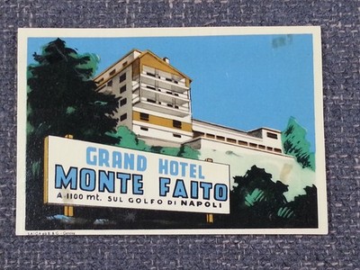 Original Vintage 1950s Luggage Grand Hotel Monte Fiato Napoli Italy Tag Label