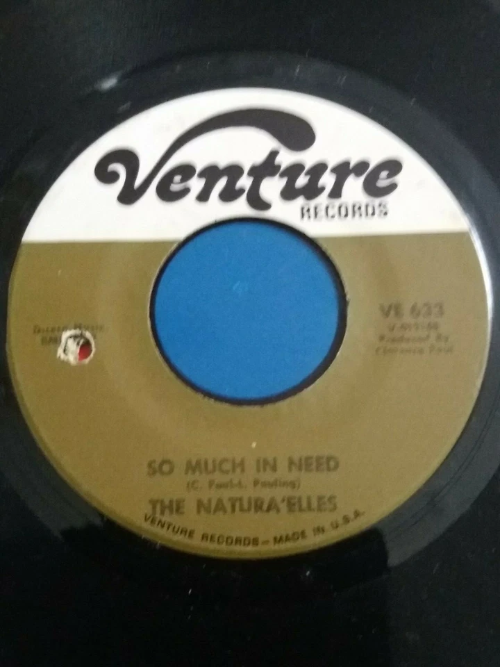 THE NATURA'ELLES " SHOW ME THE WAY " ( USA VENTURE VE 633 ) Foto 2 de 2