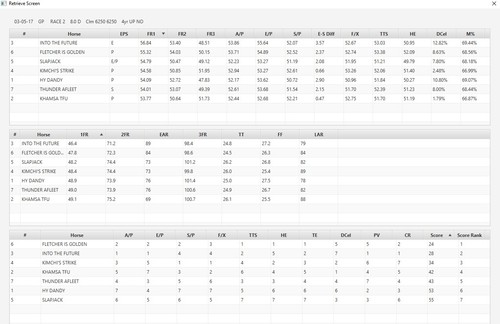 THE EQUALIZER 2.1 Thoroughbred Handicapping Software - Modern Pace Handicapping - Picture 3 of 6