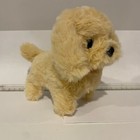 Picture 15 of 26