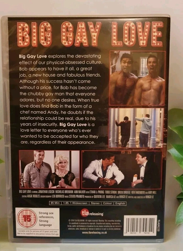 Big Gay Love dvd Brand New P&P Free - Image 2 of 2