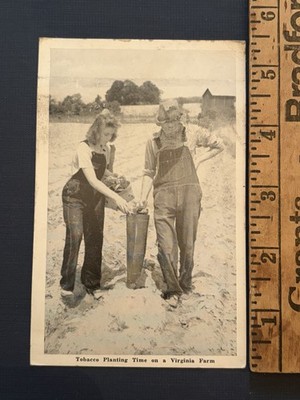 Graycraft Card Co. Tobacco Planting Virginia Farm Postcard 1940s Danville, Va 