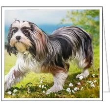 Lowchen Fine Art Notecards - Set of Six.   5.25 x 5.25 inches