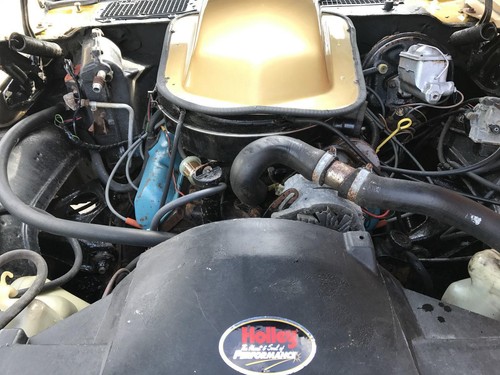 VERY RARE AMERICAN CLASSIC 1979 PONTIAC TRANS-AM FIREBIRD T-TOP 6.6 V8 AUTOMATIC - Picture 2 of 12