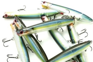 Lucky Craft Gunfish 117 Review