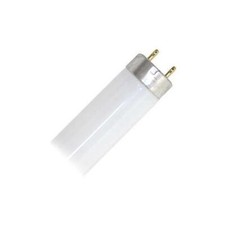 Sylvania 21616 - F15T8/CW Straight T8 Fluorescent Tube Light Bulb