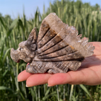 200g Natural Geode Quartz Hand Carved Crystal Dragon Skull Healing 1pc,k4644