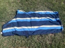 Dover Blue Striped Cooler