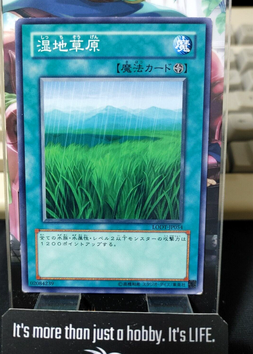 yugioh wetlands deck Amazon.com: Yu-Gi-Oh! - Wetlands (LODT-EN054) - Light of Destruction -  Unlimited Edition main image 0